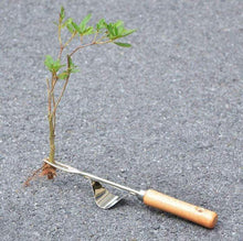Load image into Gallery viewer, Gift for Horticulturist Garden Hand Weeder Gardening Tool for Weeding Your Garden