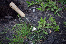 Load image into Gallery viewer, Gift for Horticulturist Garden Hand Weeder Gardening Tool for Weeding Your Garden