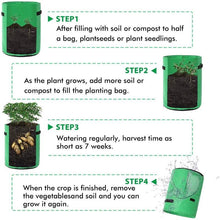 Load image into Gallery viewer, Potato Grow Bags 2-Pack Green To Plant And Growing For Graden Lovers