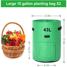 Load image into Gallery viewer, Potato Grow Bags 2-Pack Green To Plant And Growing For Graden Lovers