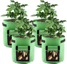 Load image into Gallery viewer, Potato Grow Bags 2-Pack Green To Plant And Growing For Graden Lovers