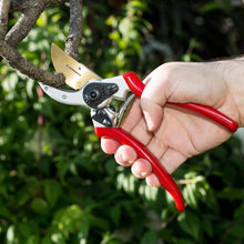 Load image into Gallery viewer, Titanium Pruning Shears Prune Hard Branches Of Trees And Shrubs Garden Tool For Grower