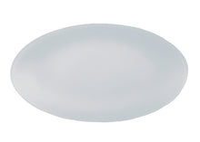 Load image into Gallery viewer, Recycled Glass 12" x 19" Oval SeaGlass Platter, Eco Friendly - Give Back Goods
