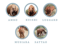 Load image into Gallery viewer, Drinking Elephant Bowl- Fair Trade - 10% goes to help animal conservation in Africa! - Give Back Goods