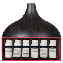 Load image into Gallery viewer, Wonderful_Scents_300ml_Dark_Wood_Essential_Oil_Diffuser_With_White_Label_Oil_Gift_Box