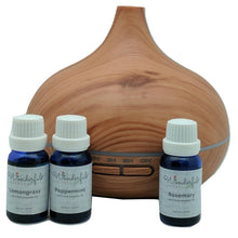 Load image into Gallery viewer, Wonderful_Scents_300ml_Light_Wood_Diffuser_Concentration_Blends