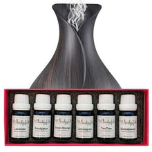 Load image into Gallery viewer, Essential Oil and Diffuser Gift Set For Home Lovers, Healthy Lover