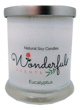 Load image into Gallery viewer, Wonderful Scents Opaque Status Jar Soy Candle Eucalyptus Scented