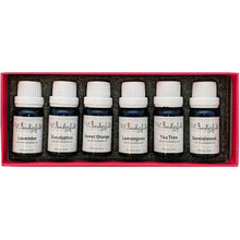 Load image into Gallery viewer, Wonderful Scents White Lable Box of Essential Oils