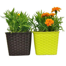 Load image into Gallery viewer, Keter Easy Grow Raised Garden Bed With Self Watering Planter Box And Drainage Plug, Anthracite For Garden Lover

