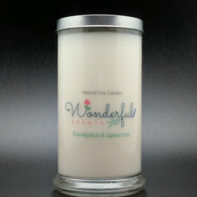 Load image into Gallery viewer, 21 oz Eucalyptus and Spearmint Soy Wax Cotton Wick Status Jar Candle
