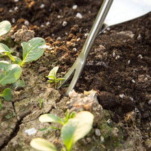 Load image into Gallery viewer, Gift for Horticulturist Garden Hand Weeder Gardening Tool for Weeding Your Garden
