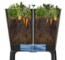 Load image into Gallery viewer, Keter Easy Grow Raised Garden Bed With Self Watering Planter Box And Drainage Plug, Anthracite For Garden Lover
