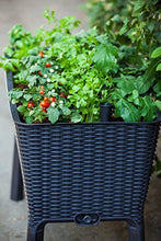 Load image into Gallery viewer, Keter Easy Grow Raised Garden Bed With Self Watering Planter Box And Drainage Plug, Anthracite For Garden Lover
