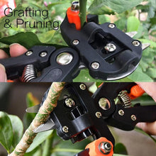 Load image into Gallery viewer, Grafting Tools Pruner Kit Convenient For Containg All Tools  Best Gift for Garden Lover, For Horticulturist

