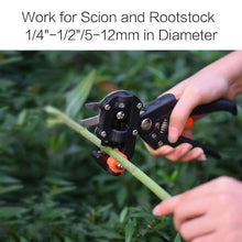Load image into Gallery viewer, Grafting Tools Pruner Kit Convenient For Containg All Tools  Best Gift for Garden Lover, For Horticulturist

