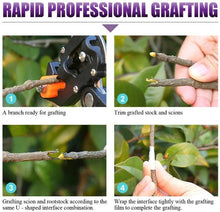 Load image into Gallery viewer, Upgraded Grafting Tools Pruner Set Make Your Garden Work Became More Easily And Safety Gift For Gardeners
