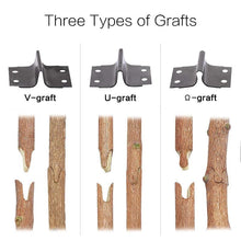 Load image into Gallery viewer, Grafting Tools Pruner Kit Convenient For Containg All Tools  Best Gift for Garden Lover, For Horticulturist
