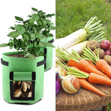 Load image into Gallery viewer, Potato Grow Bags 2-Pack Green To Plant And Growing For Graden Lovers
