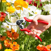 Load image into Gallery viewer, Titanium Pruning Shears Prune Hard Branches Of Trees And Shrubs Garden Tool For Grower
