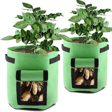Load image into Gallery viewer, Potato Grow Bags 2-Pack Green To Plant And Growing For Graden Lovers
