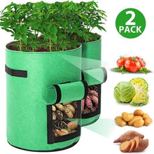 Load image into Gallery viewer, Potato Grow Bags 2-Pack Green To Plant And Growing For Graden Lovers
