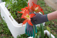 Load image into Gallery viewer, Coated Garden Work Gloves 2-Pack Protect Your Hands Gift For Garden Lovers
