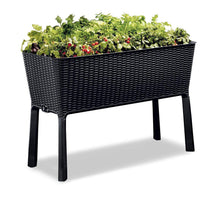 Load image into Gallery viewer, Keter Easy Grow Raised Garden Bed With Self Watering Planter Box And Drainage Plug, Anthracite For Garden Lover
