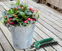 Load image into Gallery viewer, Heavy Duty Pruning Shears Prune Hard Branches Of Trees And Shrubs Garden Tool For Grower
