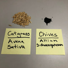 Load image into Gallery viewer, Catgrass Seed Guaranteed To Germinate And Organic This Is The Perfect Seed For Your Pets
