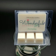 Load image into Gallery viewer, Eucalyptus Soy Wax Melt
