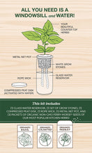 Load image into Gallery viewer, Back panel of Self-Watering Organic Herb Kit
