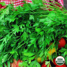 Load image into Gallery viewer, Organic Parsley Flat Leaf
