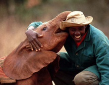 Load image into Gallery viewer, Drinking Elephant Bowl- Fair Trade - 10% goes to help animal conservation in Africa! - Give Back Goods
