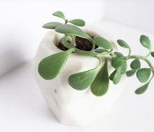 Load image into Gallery viewer, Marble geometric planter, (grey or white)- Ethically made &amp; Fair Trade - Give Back Goods
