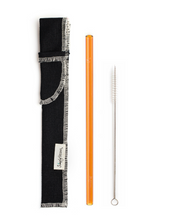 Load image into Gallery viewer, Single Classic Straw and Brush Set with a Sleeve (lots of colors) - Give Back Goods
