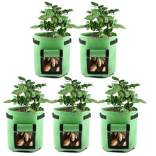 Load image into Gallery viewer, Potato Grow Bags 2-Pack Green To Plant And Growing For Graden Lovers
