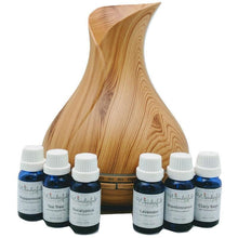 Load image into Gallery viewer, f Wonderful_Scents_Light_Wood_Vase_Diffuser_Ultimate_400ml_Vase_Essential_Oil_Combo_Gift_Set
