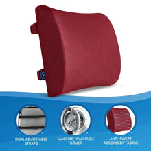 Load image into Gallery viewer, Everlasting Comfort Memory Foam Back Cushion Lumbar Support Pillow

