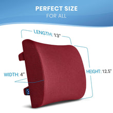 Load image into Gallery viewer, Everlasting Comfort Memory Foam Back Cushion Lumbar Support Pillow
