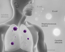 Load image into Gallery viewer, CPAP Cleaner and Sanitizer Machine Health For Everyone
