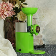 Load image into Gallery viewer, Frozen Fruit Ice Cream Maker Homemade Soft Serve Dessert Machine Beauty And Health For Cookers

