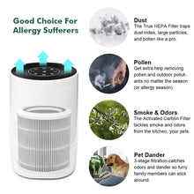 Load image into Gallery viewer, Hepa Air Purifier With Filter Beauty For Home Lovers
